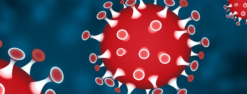 Corona Virus