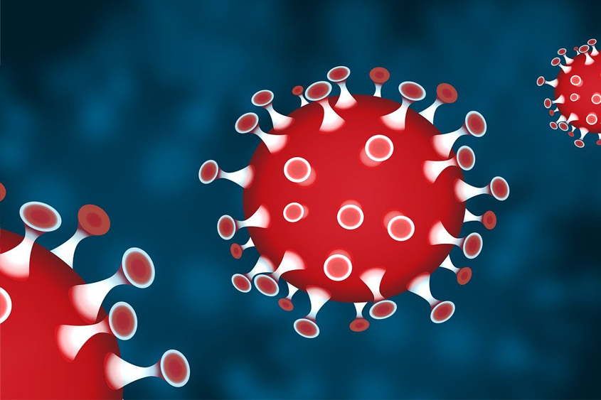 Corona Virus